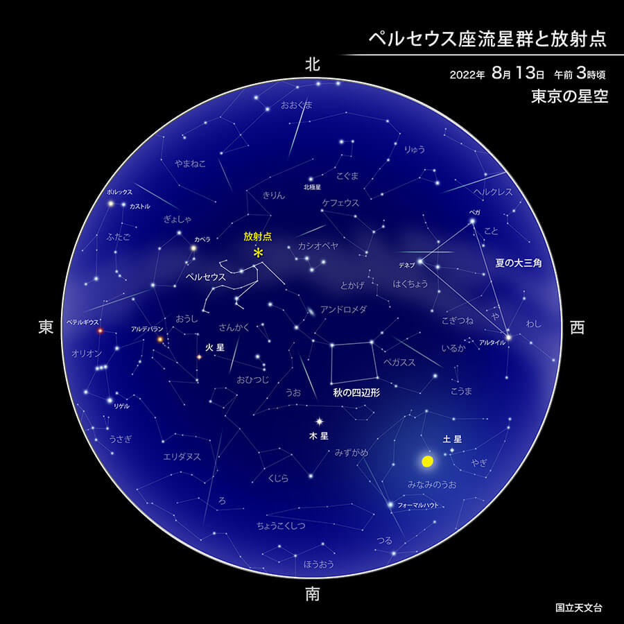 画像：ペルセウス座流星群と放射点