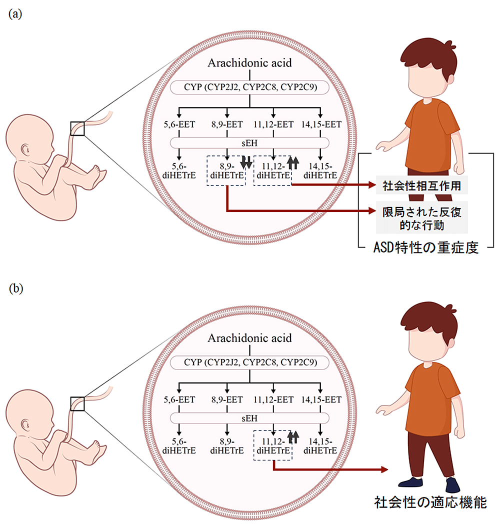 画像：図1